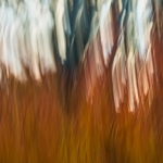 White Fire