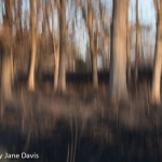 Spring Burn, Sunset 2