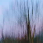 Tree Wisps
