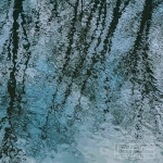 River Reflections