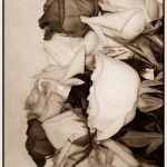 Rose Bouquet