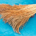 Xi'an Broom