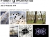 Fleeting Moments Exhibit