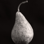 Bosc Pear