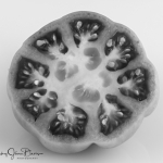 Heirloom-Tomato-blackandwhite