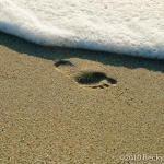 Footprint in the Sand