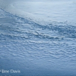 Ice Texture 2