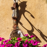 Italy2018-best__RJD0143