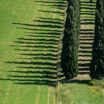 Italy2018-best__RJD0396