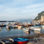 Capri-Harbor