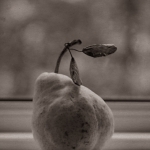 Sepia Toned Pear on Windowsill