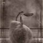 Grunge Pear on Windowsill