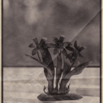 Flower Sculpture on Windowsill