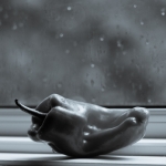 Cuban Pepper on Windowsill