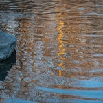Sunset Reflections