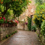 Pienza_12-garden