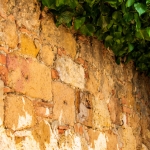 Pienza_17