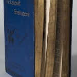 Gertrude Shakspere book