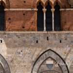 Siena-city-hall