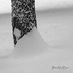 Snow Drift