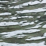 River Snow Clumps