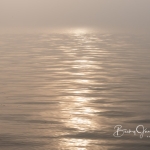 sunrise-fog_0004