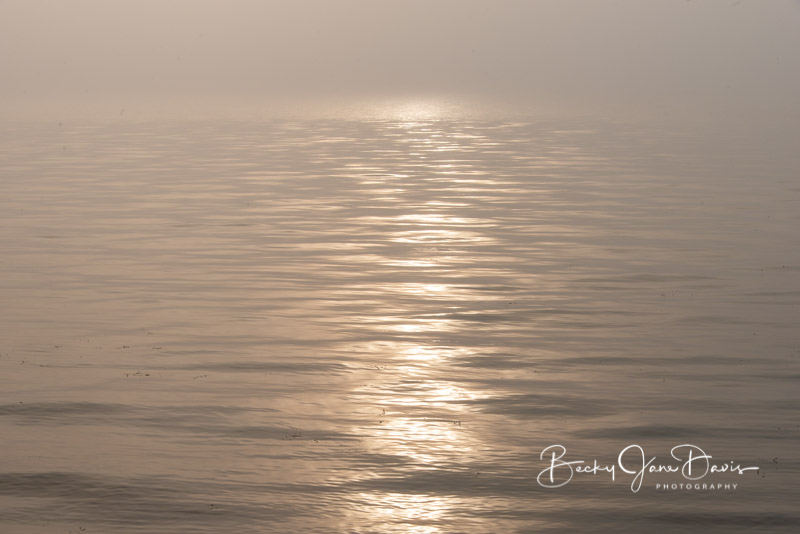 sunrise-fog_0004