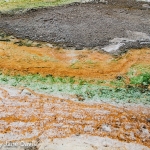 Geyser Basin