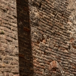 Siena-wall