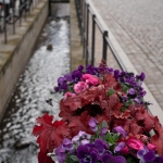 City River