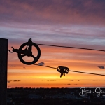 Yarmouth Sunset Clothesline