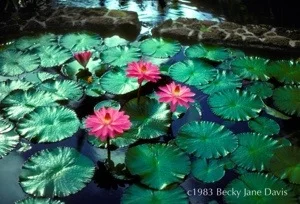 20121118-074409.jpg