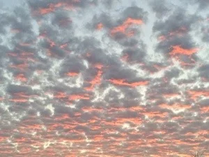 20131105-080947.jpg