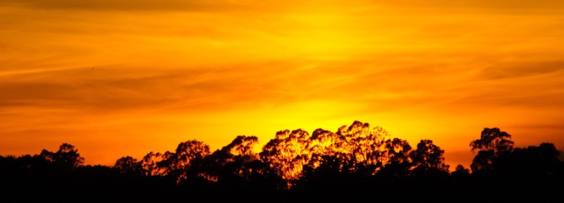 California Sunset