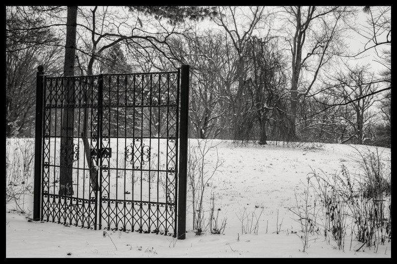 The gate that goes nowhere - the influence of humans on nature